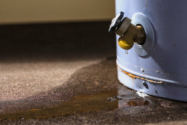 Best Emergency water damage restoration  in Lake Shore, MN