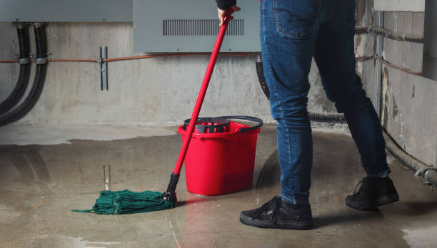 Best Water damage mitigation services  in Lake Shore, MN